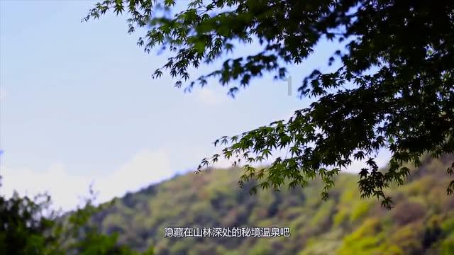 上海:“碰瓷”诈骗14次 故技重施被当场揭穿
