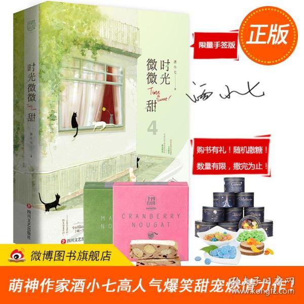 迷你拉力赛车