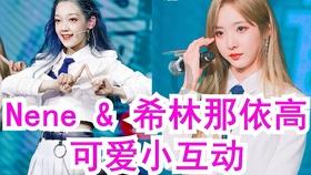 爱吃叶子的毛毛虫